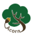 株式会社Acorn