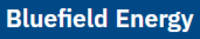 Bluefield Energy株式会社