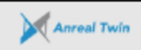Anreal Twin株式会社