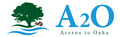 Logo colore